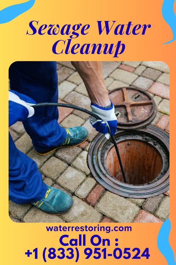 Sewage Water Cleanup in Bauxite, AR
